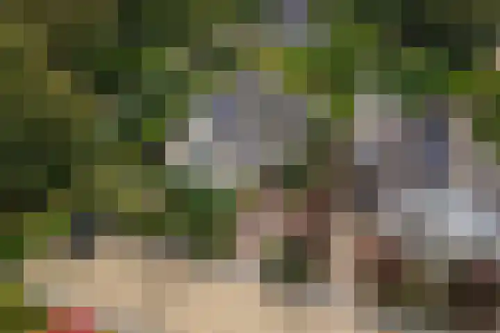 Brederode 12 Tiel thumbnail 67