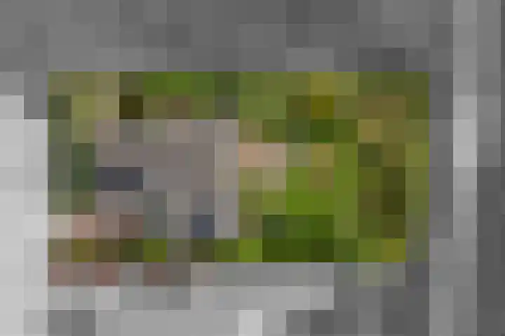 Brederode 12 Tiel thumbnail 68