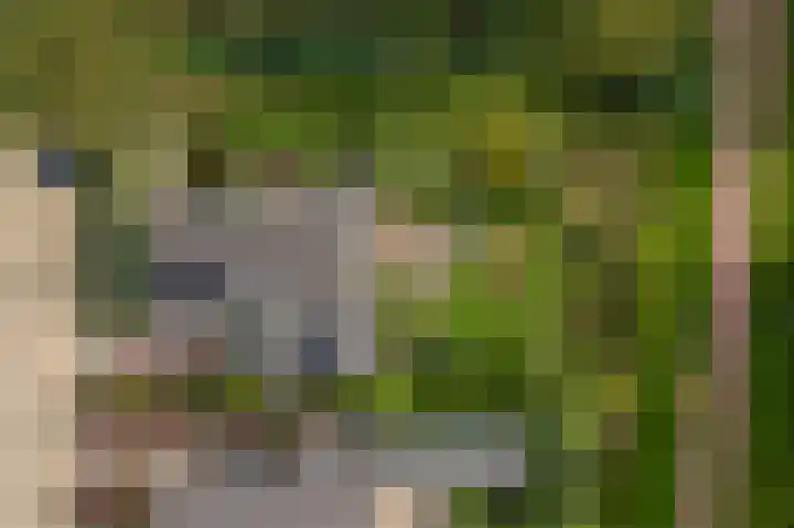 Brederode 12 Tiel thumbnail 69