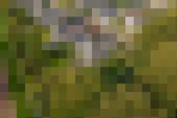 Brederode 12 Tiel thumbnail 70