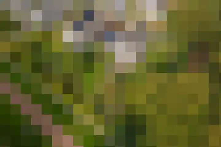 Brederode 12 Tiel thumbnail 71