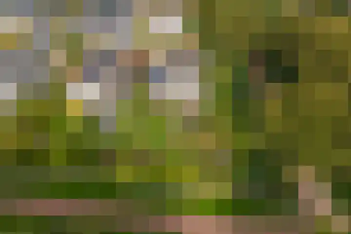 Brederode 12 Tiel thumbnail 72