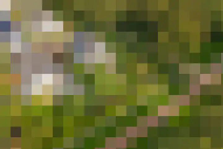 Brederode 12 Tiel thumbnail 73