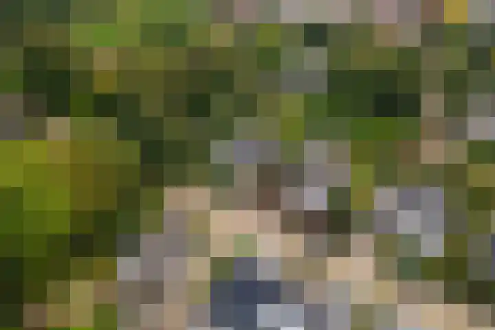 Brederode 12 Tiel thumbnail 75