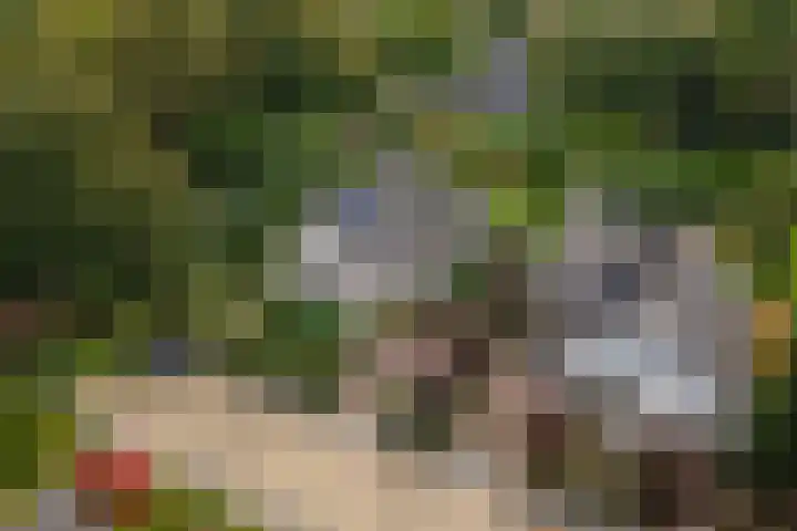 Brederode 12 Tiel thumbnail 76