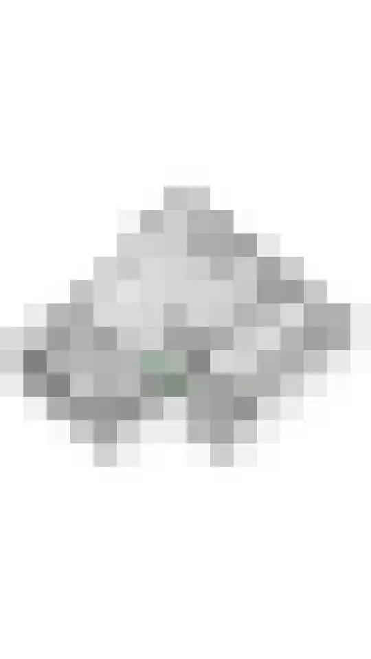 Brederode 12 Tiel thumbnail 78