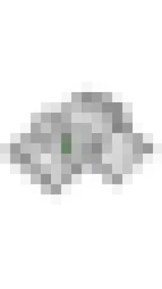 Brederode 12 Tiel thumbnail 80