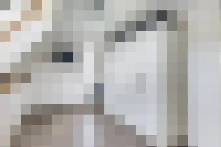 Brederode 15 Huizen thumbnail 22