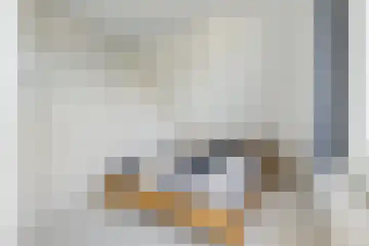 Brederode 15 Huizen thumbnail 26