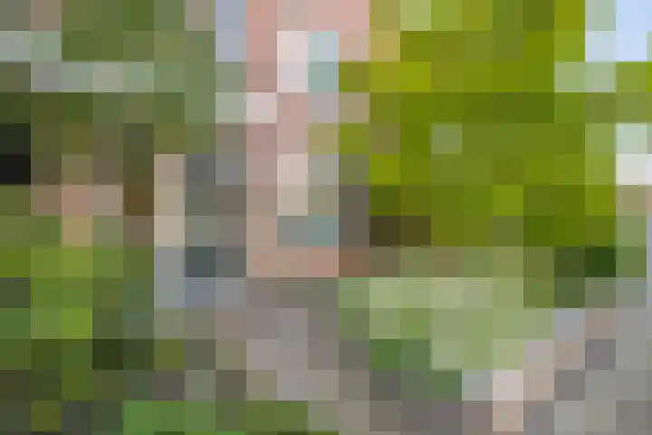 Brederode 15 Huizen foto 3