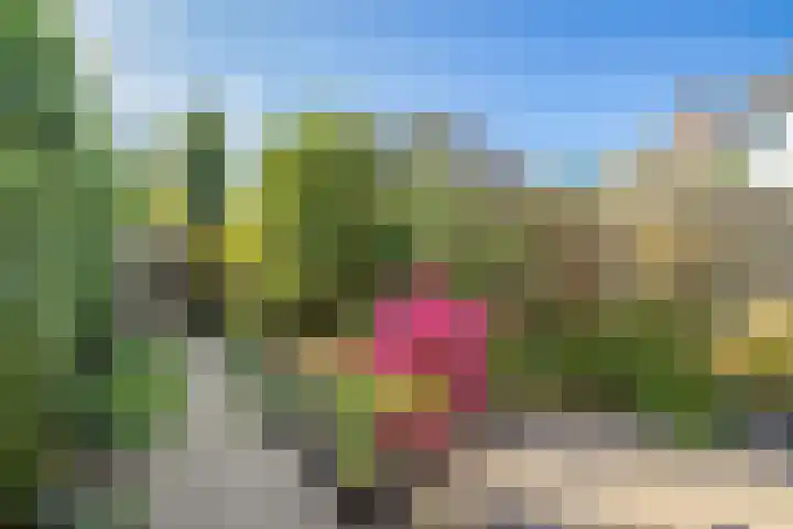 Brederode 15 Huizen thumbnail 33