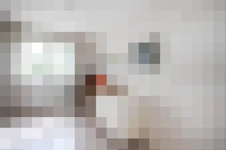 Brederode 154 Leidschendam thumbnail 17