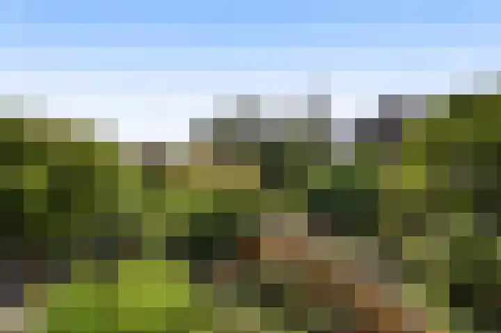 Brederode 154 Leidschendam thumbnail 21