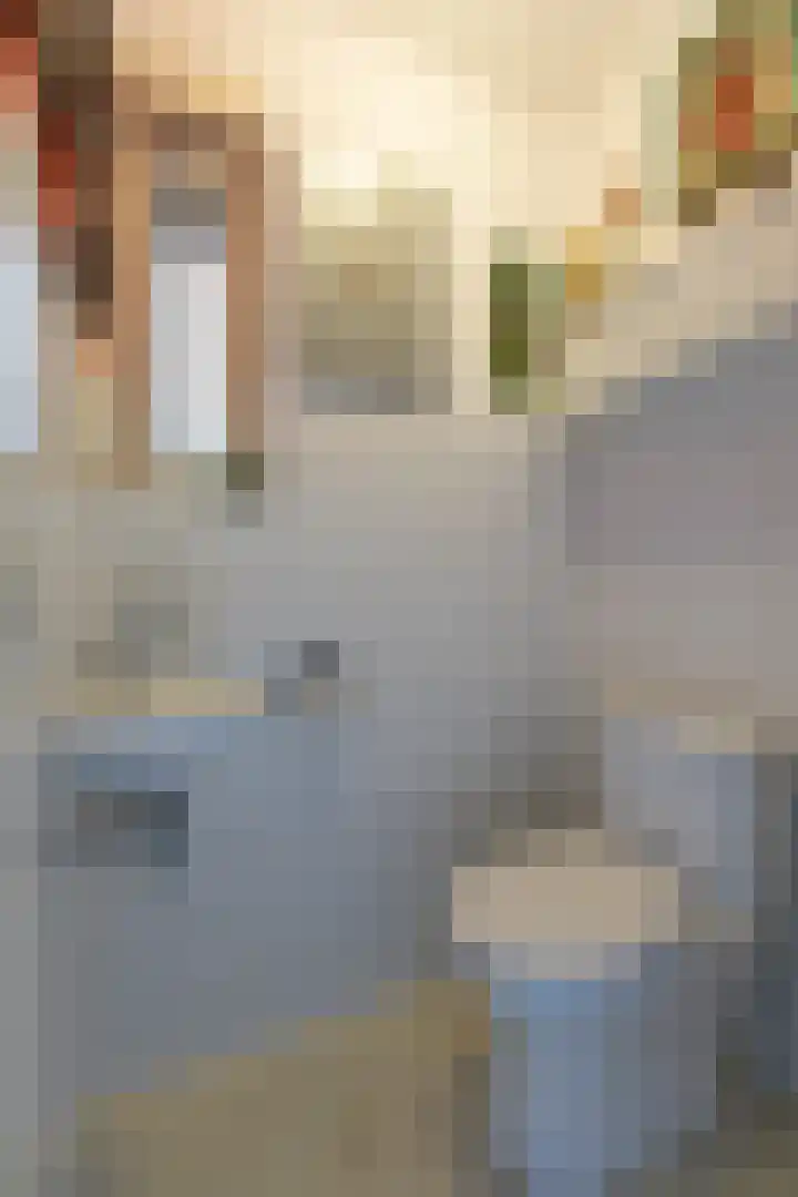 Brederode 20 Duiven thumbnail 10
