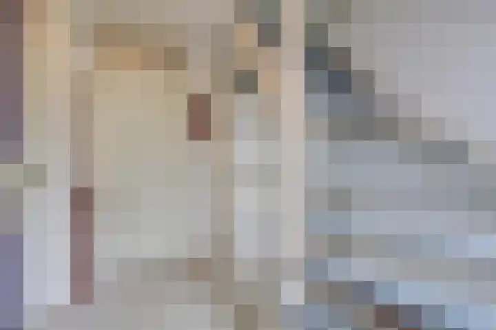 Brederode 20 Duiven thumbnail 11