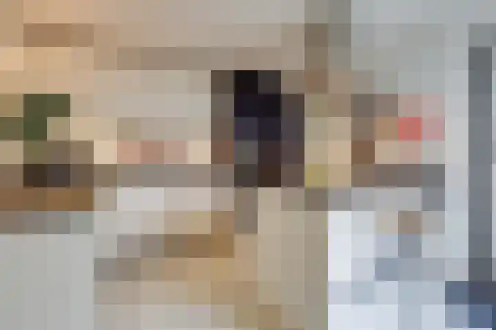Brederode 20 Duiven thumbnail 21
