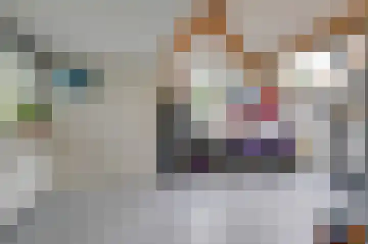 Brederode 20 Duiven thumbnail 4