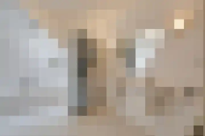 Brederode 20 Duiven thumbnail 44