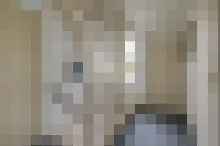 Brederode 20 Duiven thumbnail 46