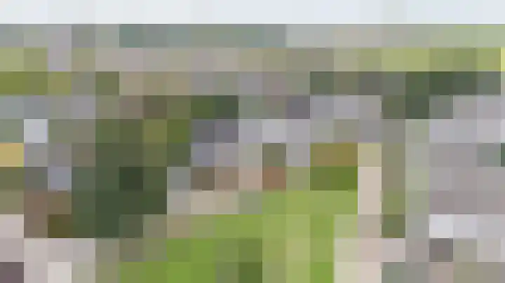 Brederode 20 Duiven thumbnail 5