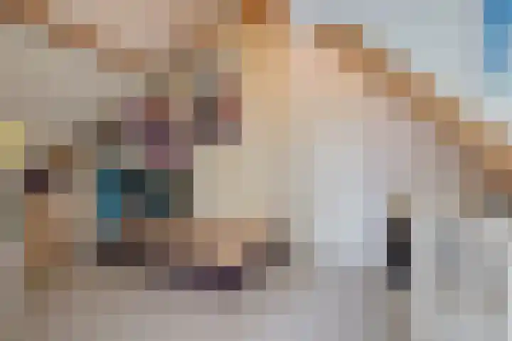 Brederode 20 Duiven thumbnail 54