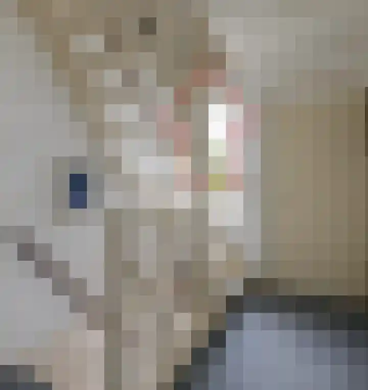 Brederode 20 Duiven thumbnail 55
