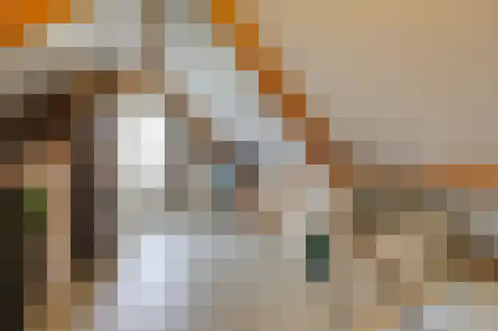 Brederode 20 Duiven thumbnail 56