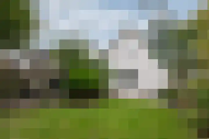 Brederode 20 Duiven thumbnail 59