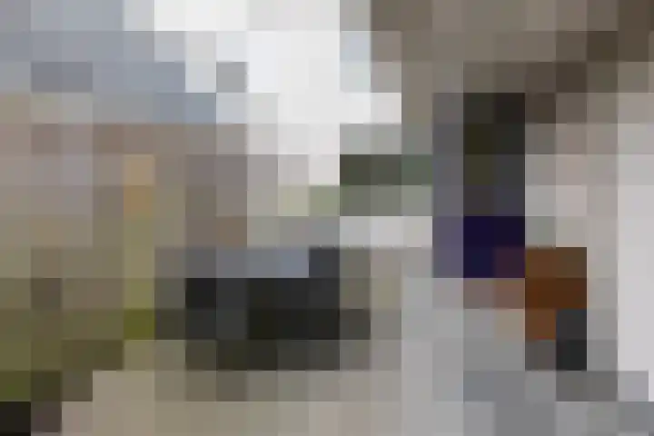 Brederode 20 Duiven thumbnail 60