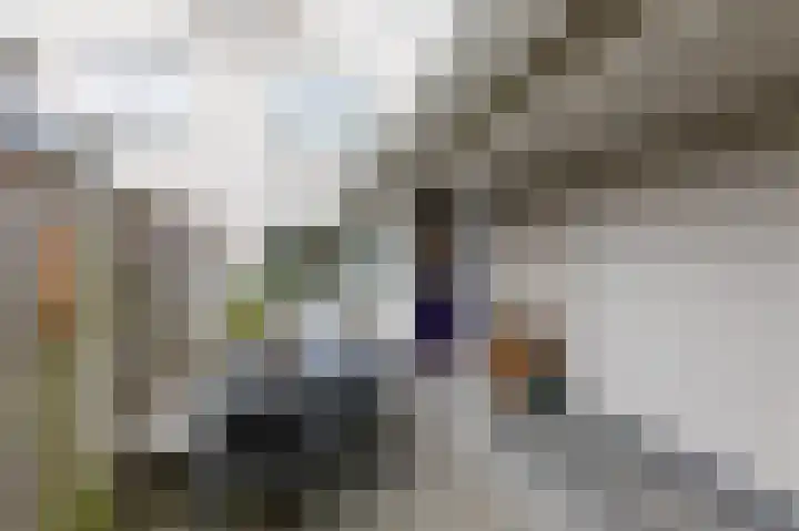 Brederode 20 Duiven thumbnail 61
