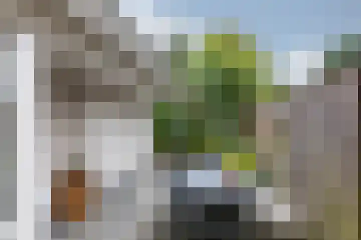 Brederode 20 Duiven thumbnail 62