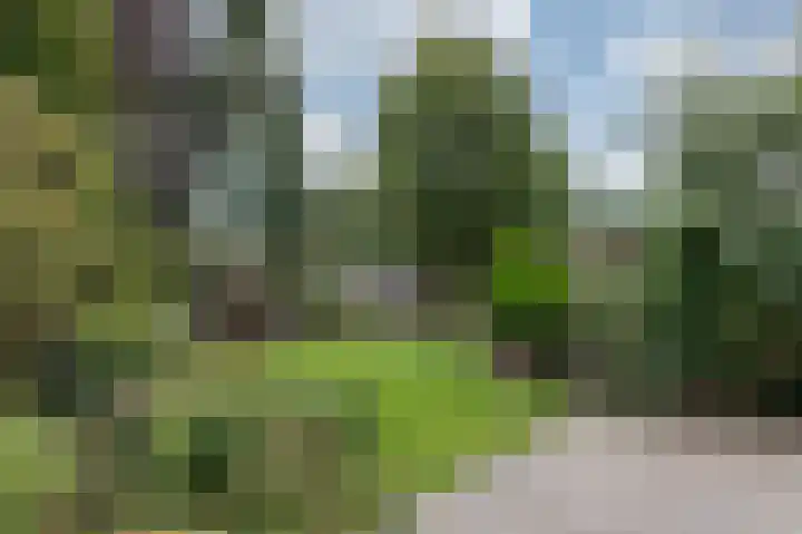 Brederode 20 Duiven thumbnail 63