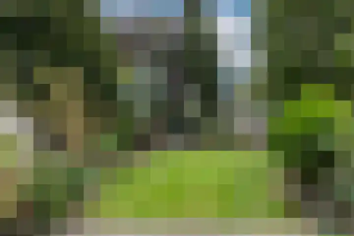 Brederode 20 Duiven thumbnail 64