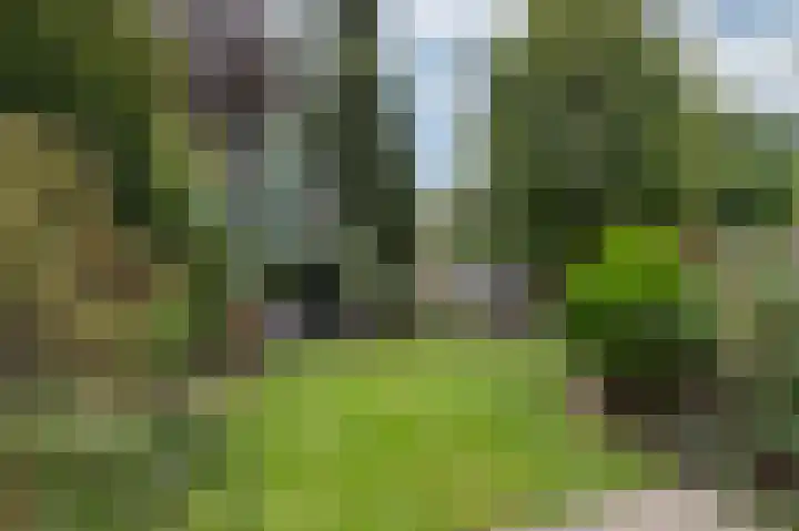 Brederode 20 Duiven thumbnail 65