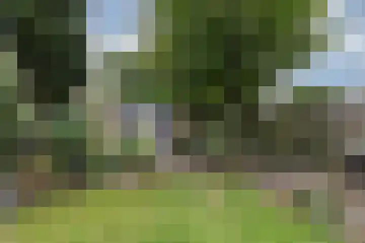 Brederode 20 Duiven thumbnail 67