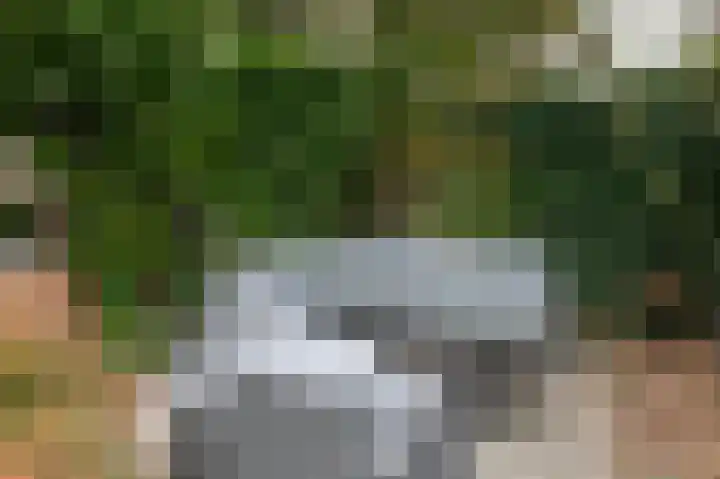 Brederode 20 Duiven thumbnail 68
