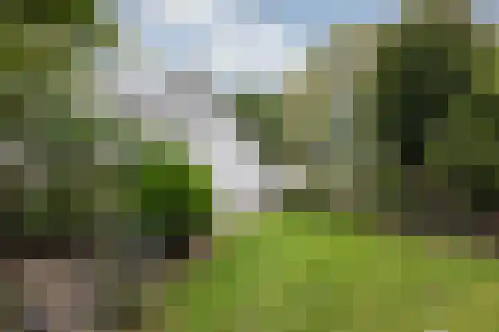 Brederode 20 Duiven thumbnail 69