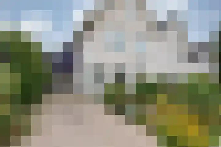 Brederode 20 Duiven thumbnail 7