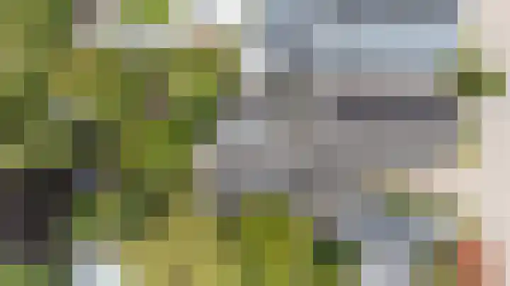 Brederode 20 Duiven thumbnail 71
