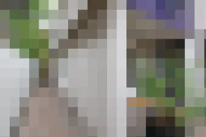 Brederode 20 Duiven thumbnail 72