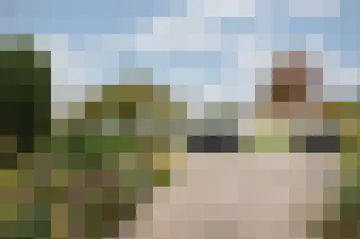 Brederode 20 Duiven thumbnail 75