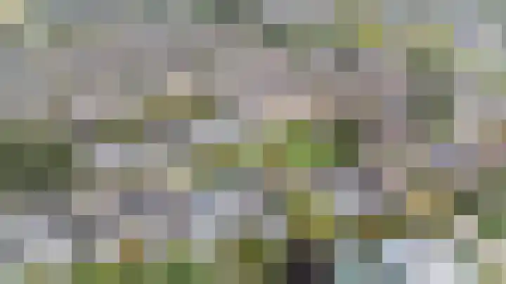 Brederode 20 Duiven thumbnail 78