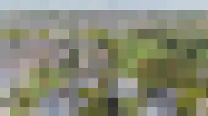 Brederode 20 Duiven thumbnail 79