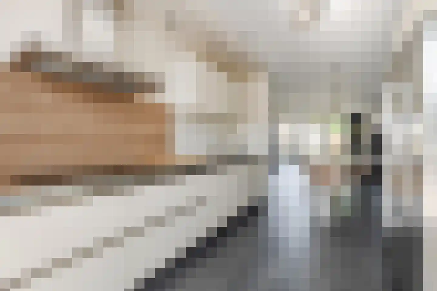 Brederode 27 Amstelveen thumbnail 10