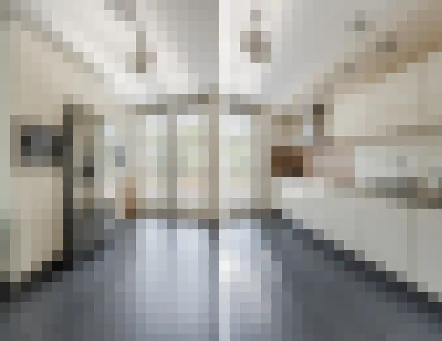 Brederode 27 Amstelveen thumbnail 13