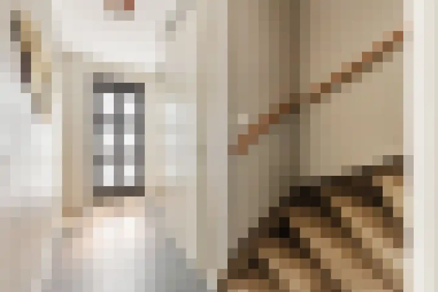 Brederode 27 Amstelveen thumbnail 14