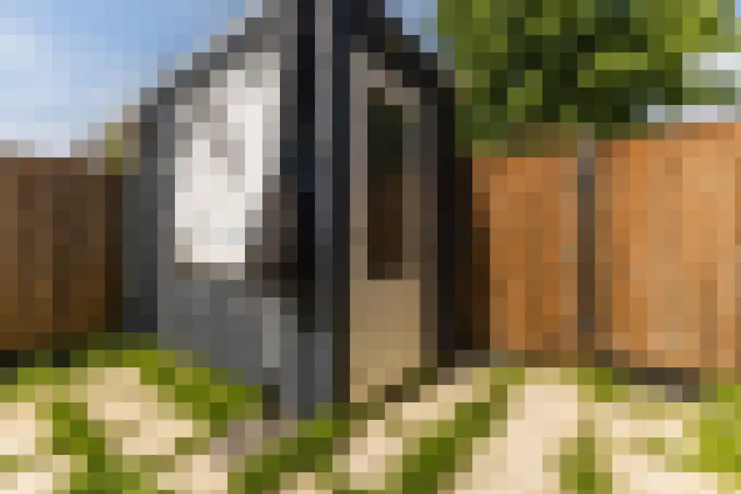 Brederode 27 Amstelveen thumbnail 39