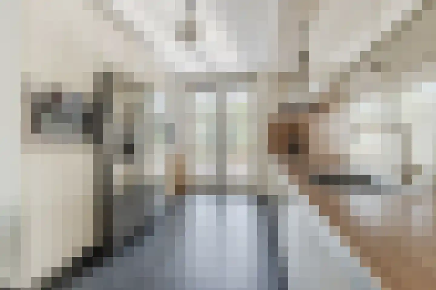 Brederode 27 Amstelveen thumbnail 4
