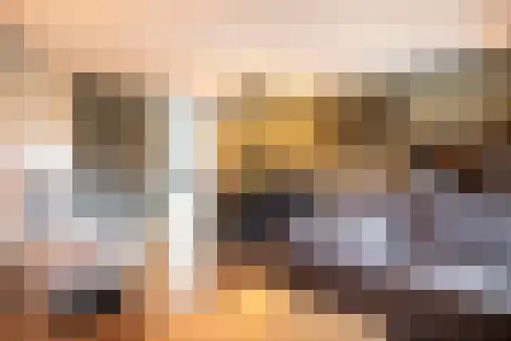 Brederode 51 Duiven thumbnail 12