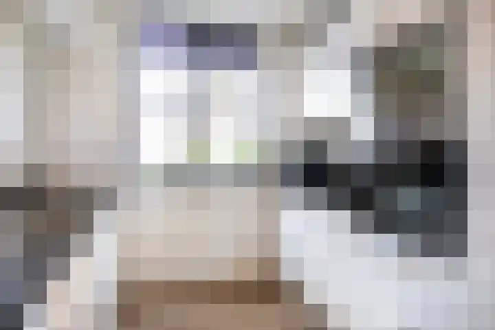 Brederode 51 Duiven thumbnail 17